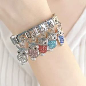 Sister Heart and Crystal Owl Dangle Italian Charms