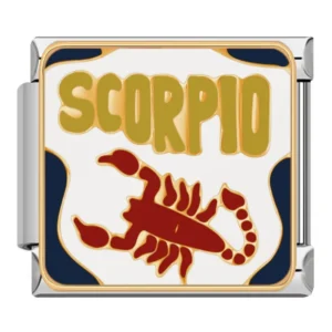 Zodiac Sign Picture Italian Charms